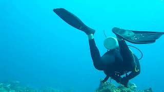 Scuba diving in Cancun 2 [upl. by Divd340]