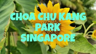 WALKING TOUR  CHOA CHU KANG PARK  STAGMONT CAMP mohrayogalifestyle [upl. by Melisande]