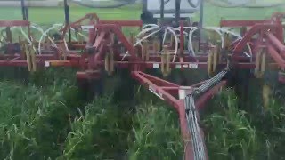 Seeding into cover crop [upl. by Annecorinne]