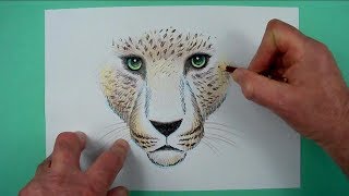 Ein Leopard schaut dich an Zeichnen für Kinder und jedem dem es Spaß macht [upl. by Esialb897]