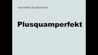 Korrekte Aussprache Plusquamperfekt [upl. by Naawaj139]