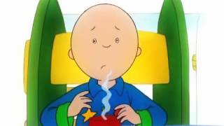 Caillou  DvD8 Español  Dibujos Infantiles [upl. by Inaoj298]