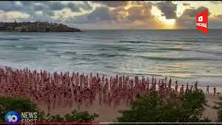 Spencer Tunick gathers 2500 volunteers for mass naked photo shoot on Bondi Beach [upl. by Yerhcaz]