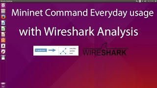 Mininet Command Everyday usage with Wireshark Analysis [upl. by Cheadle]