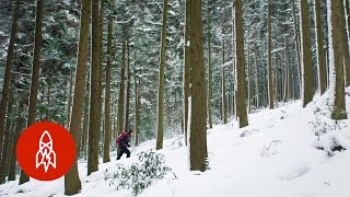 Ascending South Korea’s Most Respected Mountain [upl. by Ahseikal782]