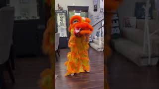 Orange Lion Dance at orange circle optometry TET 2024 [upl. by Nael]