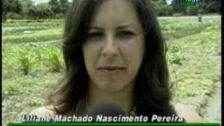 Compostagem  manejo e utilização na agricultura orgânica  parte 2  Dia de Campo na TV [upl. by Allenrac595]