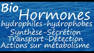 Hormones hydrophiles et hydrophobes [upl. by Aisiram]