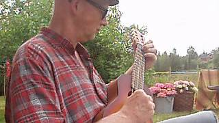 Tor E Bekken Plays The Eddie Freeman Special Rag On Guitalele [upl. by Adian]