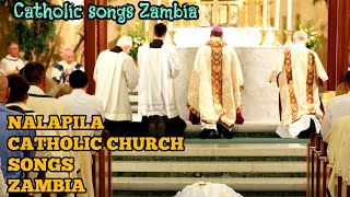 NalapilaCatholic Songs ZambiaBest of Catholic songs [upl. by Lirbij]