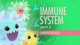 Immune System Part 2 Crash Course Anatomy amp Physiology 46 [upl. by Anirt]