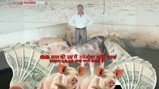 62 साल की उम्र में 40 लाख का टर्नओवर12 से 16 लाख साल की कमाईसुअर पालनpig farmingpigripig shed [upl. by Tully]