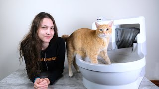 Cat Genie SelfFlushing Litter Box Review We Tested it for 3 Weeks [upl. by Cirdor]