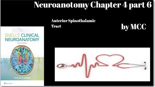 Neuroanatomy Chapter 4 part 6Anterior Spinothalamic TractCrude touch pathwayspinal lemniscus [upl. by Tarrant]