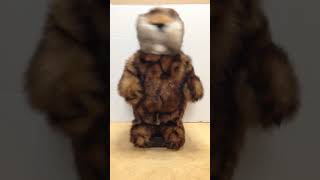 Vintage Caddyshack gopher dancing with the song [upl. by Eldreeda]