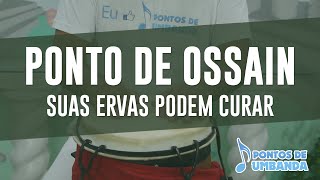 Ponto de Ossain  Suas ervas podem curar [upl. by Ecnarwal]