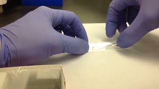 Making a Peripheral Blood Smear for AVC students [upl. by Jarrid]