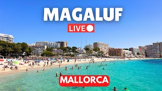 🔴Live in Magaluf Mallorca Majorca  22 September 2024 [upl. by Celestina374]