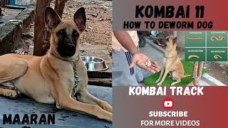 How to Deworm Dog  Kombai  கோம்பை நாய் [upl. by Rubie347]