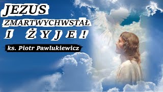 Jezus ZMARTWYCHWSTAĹ  Ks Piotr Pawlukiewicz [upl. by Nerradal129]