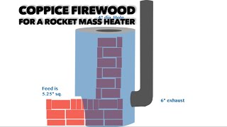 Coppice Firewood for a Rocket Mass Heater [upl. by Moulton445]