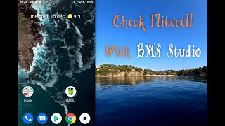 Fliteboard  Check Flitecell with BMS Studio [upl. by Asilrahc]