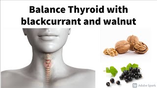 Balance Thyroid with blackcurrant and walnut — helps support healthy thyroid function [upl. by Ethben435]