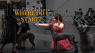 Finding the right Xolo breeder [upl. by Ellis]