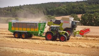 Claas Trion 730 im Weizen [upl. by Rednazxela]