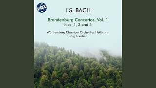 Brandenburg Concerto No 6 in BFlat Major BWV 1051 I — [upl. by Alyson818]