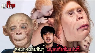 ทดลองผสมพันธุ์มนุษย์กับลิงซิมแปนซี l Humanzee l ขนผีลุก EP47 [upl. by Sekofski113]