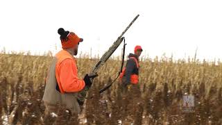 Aberdeen Pheasant Hunt  Prairie Sportsman [upl. by Gere906]