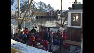 VM i Skreifiske Svolvær  Del 4 Jakten På Storfisken sportsfiske i Lofoten Sportfishing Norway [upl. by Asen]