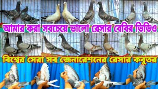 রেসার কবুতরের বিশাল খামার বিশ্বের সেরা সব জেনারেশনে ভরপুর Racer pigeons farm Racer kobutor pigeon [upl. by Olgnaed]