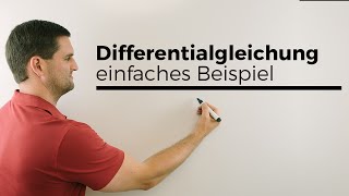 Differentialgleichung Differenzialgleichung lösen einfaches Beispiel  Mathe by Daniel Jung [upl. by Bruis]