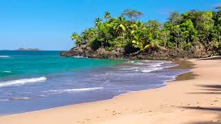 Olas del Paraíso  Playa Hermosa con Sonidos Relajantes del Mar sin Música [upl. by Longawa]