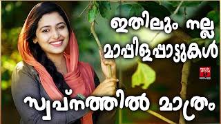 Malayalam Mappila Songs  Old Mappilappattukal  Mappilapattukal  Mappila Pattukal Malayalam [upl. by Hebel]