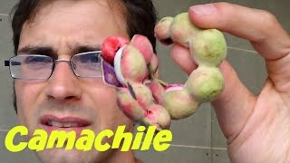 Camachile Pithecellobium dulce Review in Bangkok  Weird Fruit Explorer  Ep 77 [upl. by Latin148]