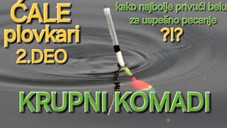 KRUPNI KOMADI NA PLOVAK × NAJEFIKASNIJI NAČIN ZA USPEŠNO PECANJE BELE RIBEfloatfishing [upl. by Erline]