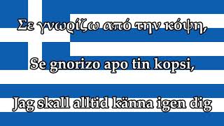 Svensk text  Ύμνος εις την Ελευθερίαν  Greklands Nationalsång [upl. by Symons]