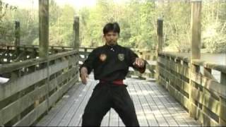 Pencak Silat  Techniques de Combat [upl. by Eicyak]