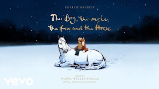 The Boy The Mole The Fox and The Horse Opening  The Boy The Mole The Fox and Th [upl. by Reneta]