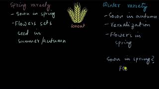 Vernalization  Plant growth and development  Biology  Khan Academy [upl. by Enneira]