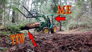 Salvaging And Milling A PACIFIC YEW Log From My Property [upl. by Ecaj]