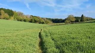 A beautiful valley near Staverton [upl. by Adamec851]