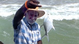 FASTEST inshore Fishing EVER JACK FISH [upl. by Alverson]