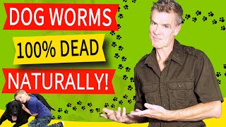 How to Naturally Treat a Dog With Worms 100 Effective Home Remedy [upl. by Edme]