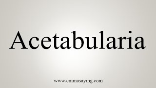 How To Say Acetabularia [upl. by Dore]