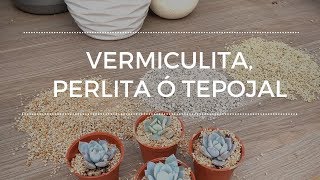 Vermiculita Perlita o Tepojal Para que sirven y como los utilizo [upl. by Gerfen]