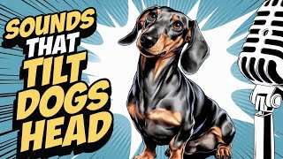 Sounds That Make DOGS TILT Their HEADS – You Won’t Believe 3 [upl. by Yeliab]